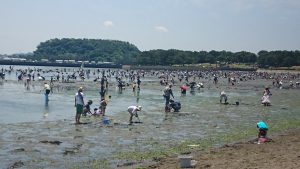 Đào sò miễn phí ở Nhật Bản